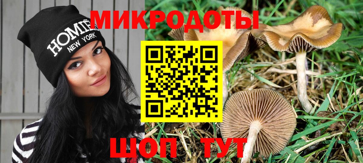 Псилоцибиновые грибы мухоморы Вязники