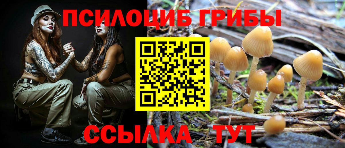 Вязники  Псилоцибиновые грибы Psilocybe  Галлюциногенные грибы мицелий  купить наркоту  Вход с VPN 
