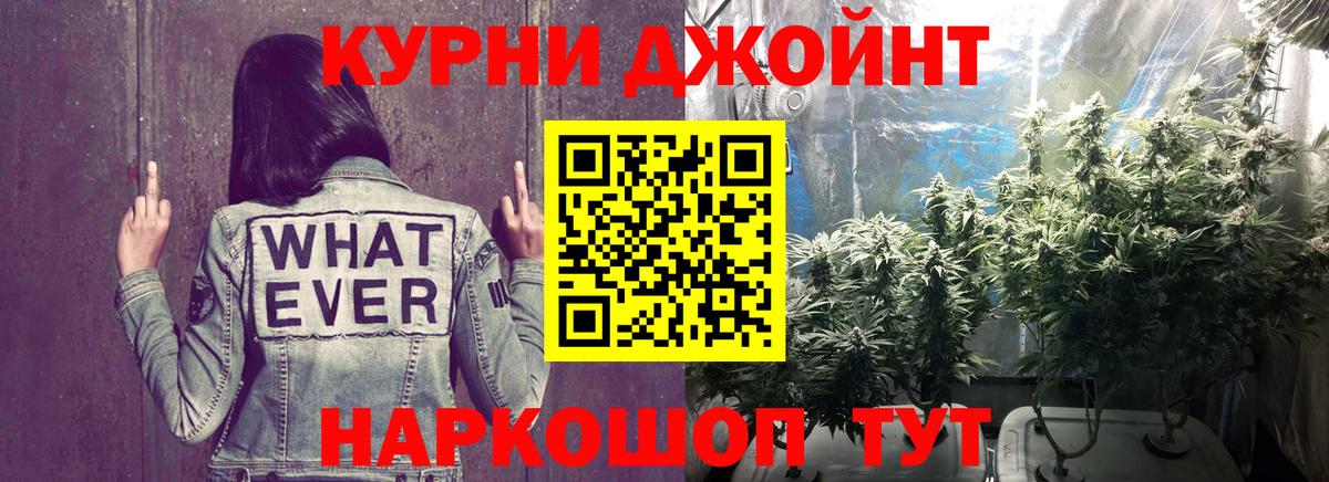 Бошки марихуана план Вязники